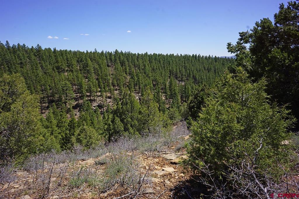 6 Tbd Road T.7 Mancos CO 81328