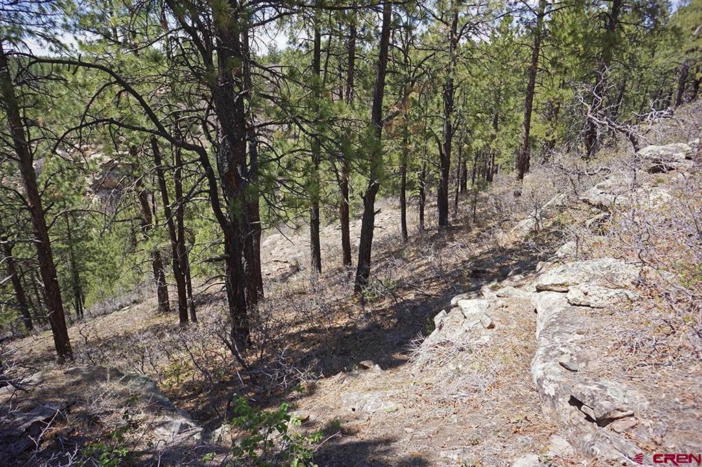 6 Tbd Road T.7 Mancos CO 81328