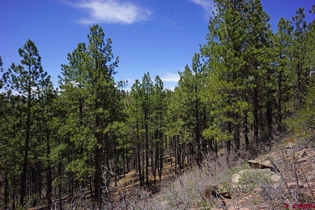 6 Tbd Road T.7 Mancos CO 81328