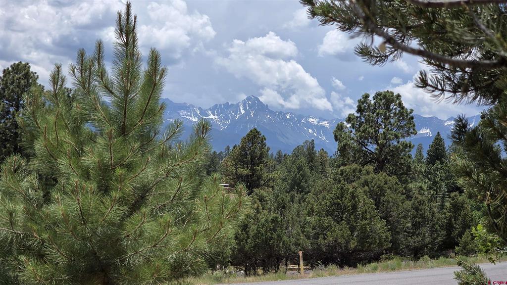 118 Pika Lane Ridgway CO 81432