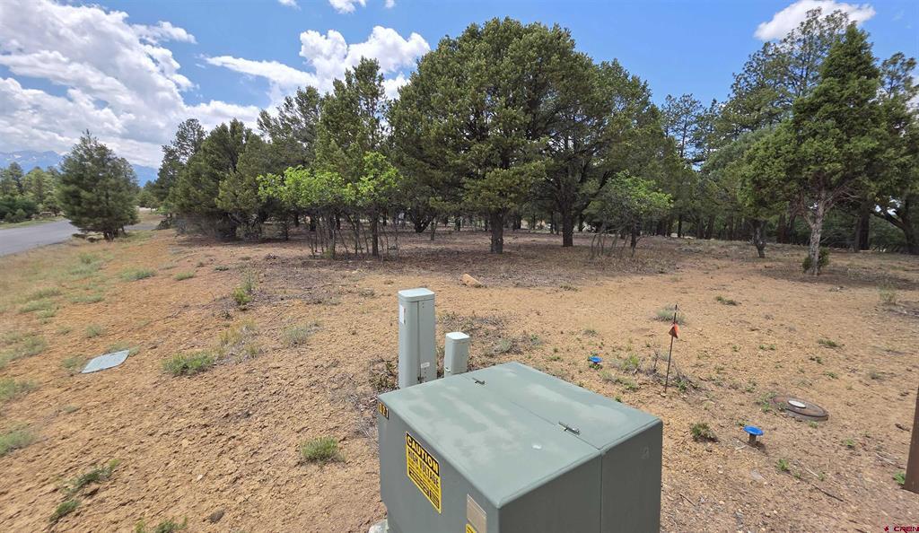 118 Pika Lane Ridgway CO 81432