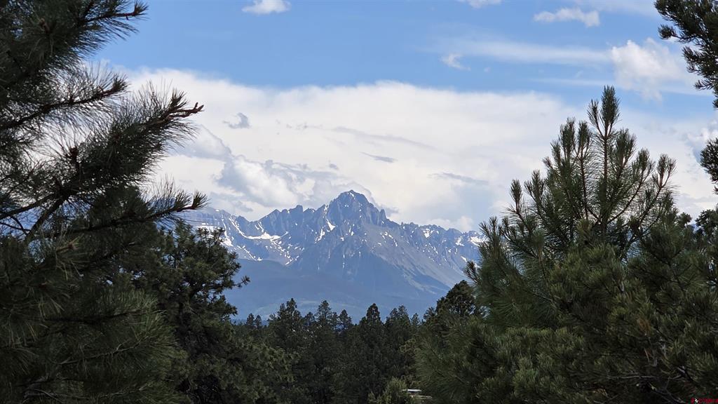 118 Pika Lane Ridgway CO 81432