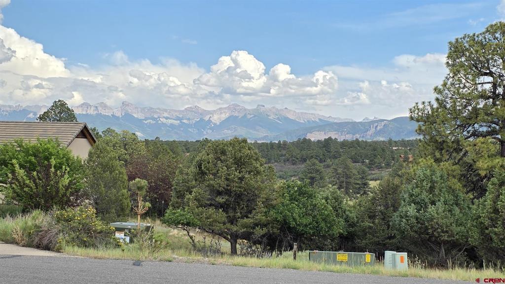 118 Pika Lane Ridgway CO 81432