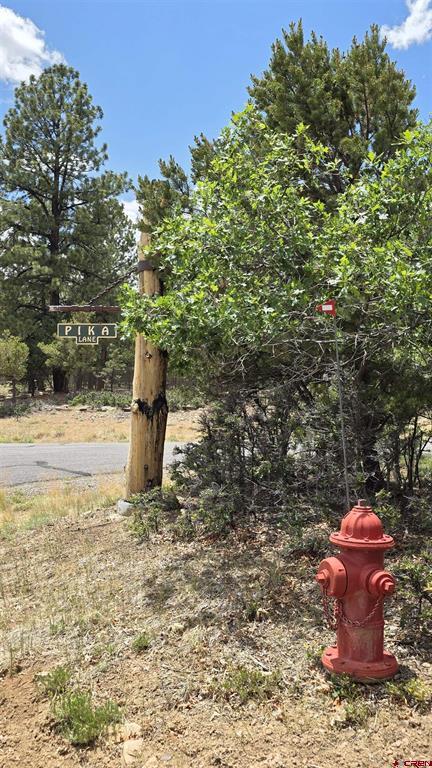 118 Pika Lane Ridgway CO 81432