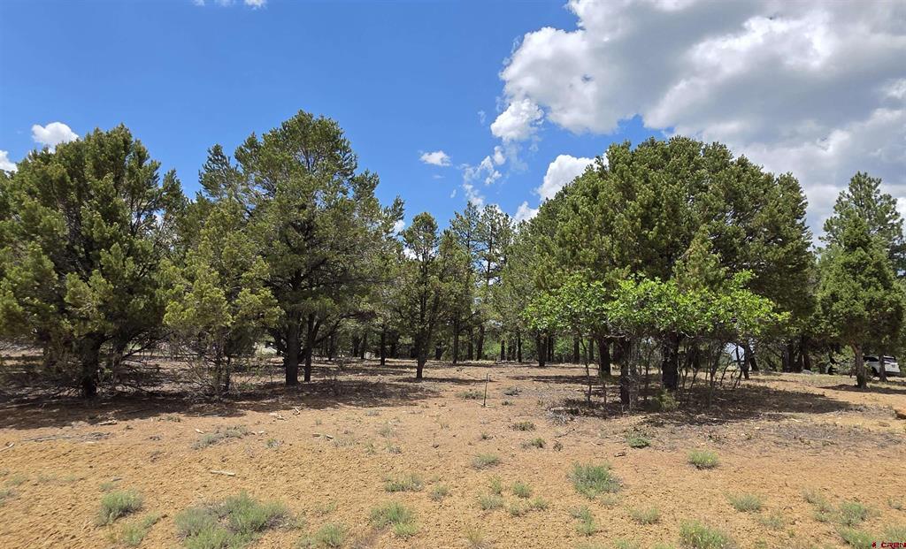 118 Pika Lane Ridgway CO 81432