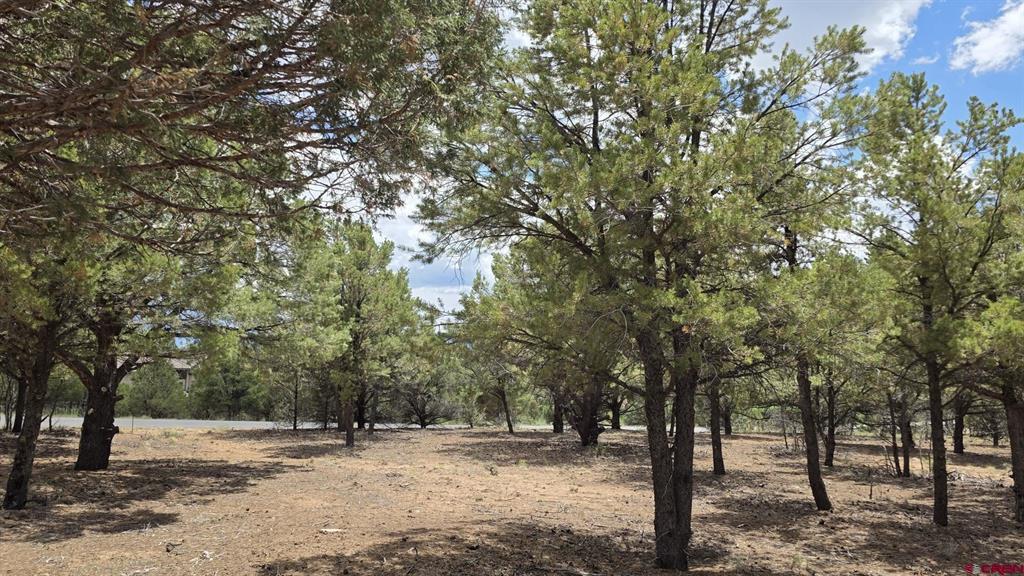 118 Pika Lane Ridgway CO 81432