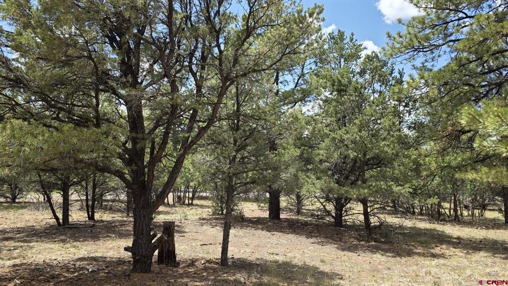 118 Pika Lane Ridgway CO 81432