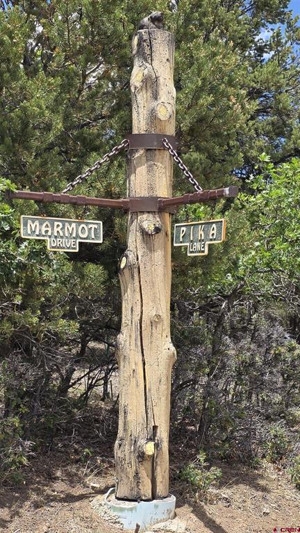 118 Pika Lane Ridgway CO 81432
