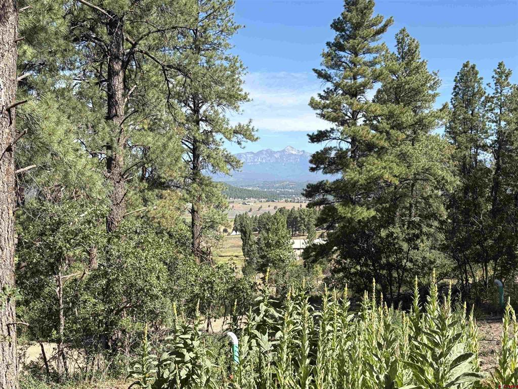 599 Pineview Road Pagosa Springs CO 81147