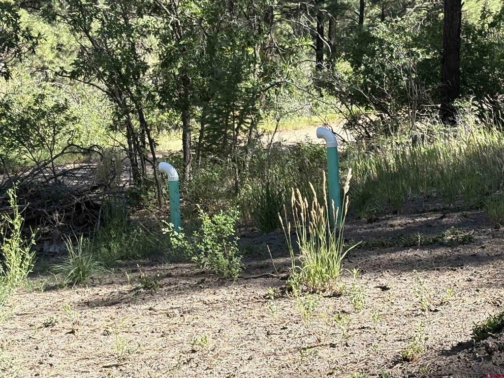 599 Pineview Road Pagosa Springs CO 81147