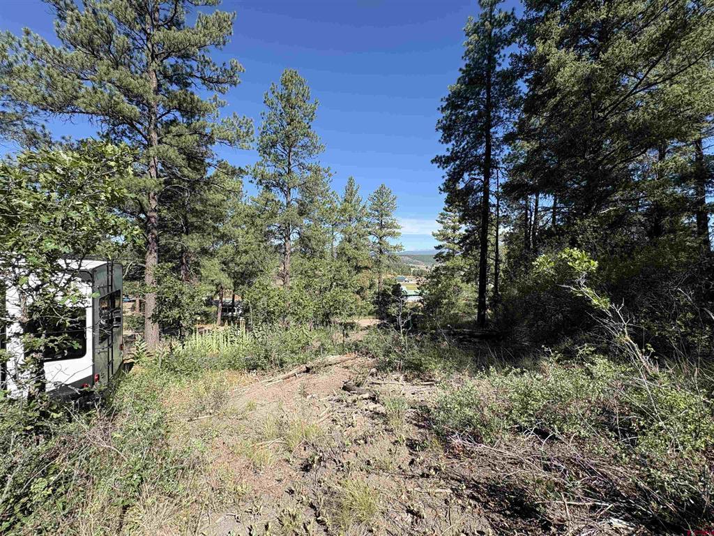 599 Pineview Road Pagosa Springs CO 81147