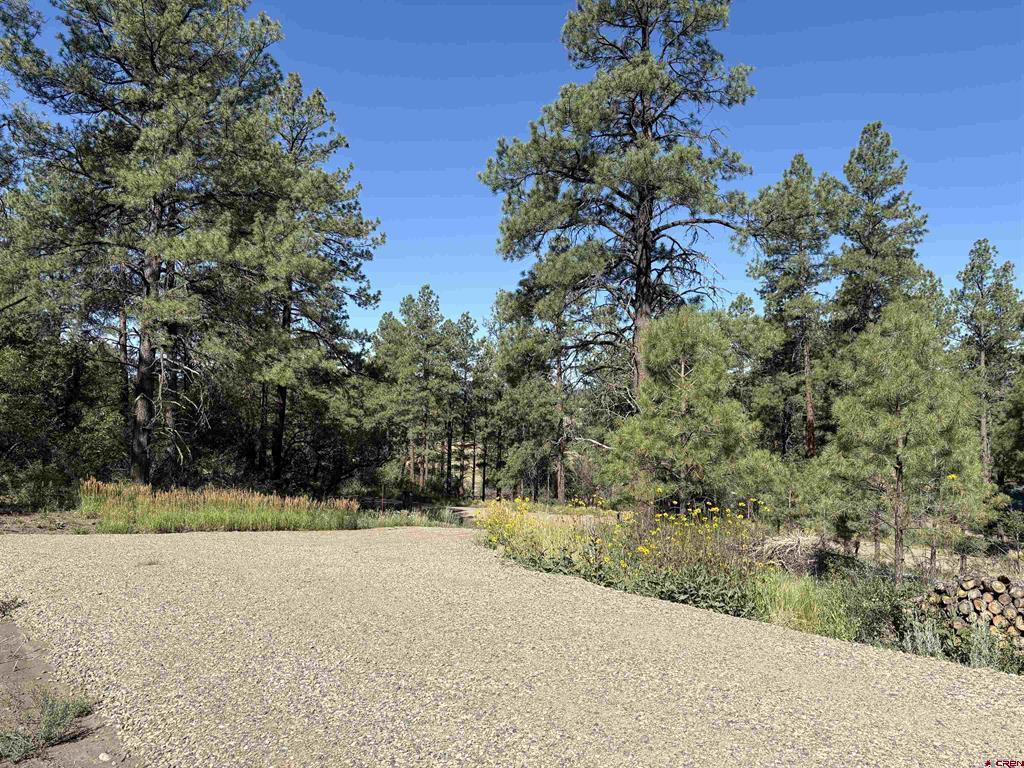 599 Pineview Road Pagosa Springs CO 81147