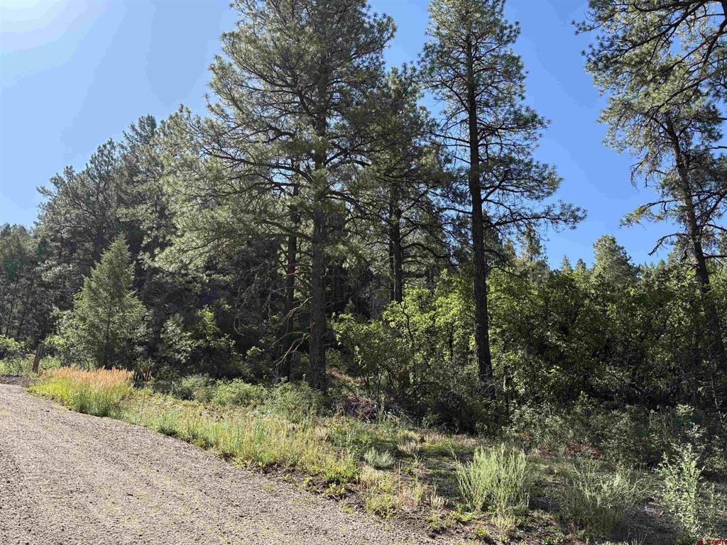 599 Pineview Road Pagosa Springs CO 81147