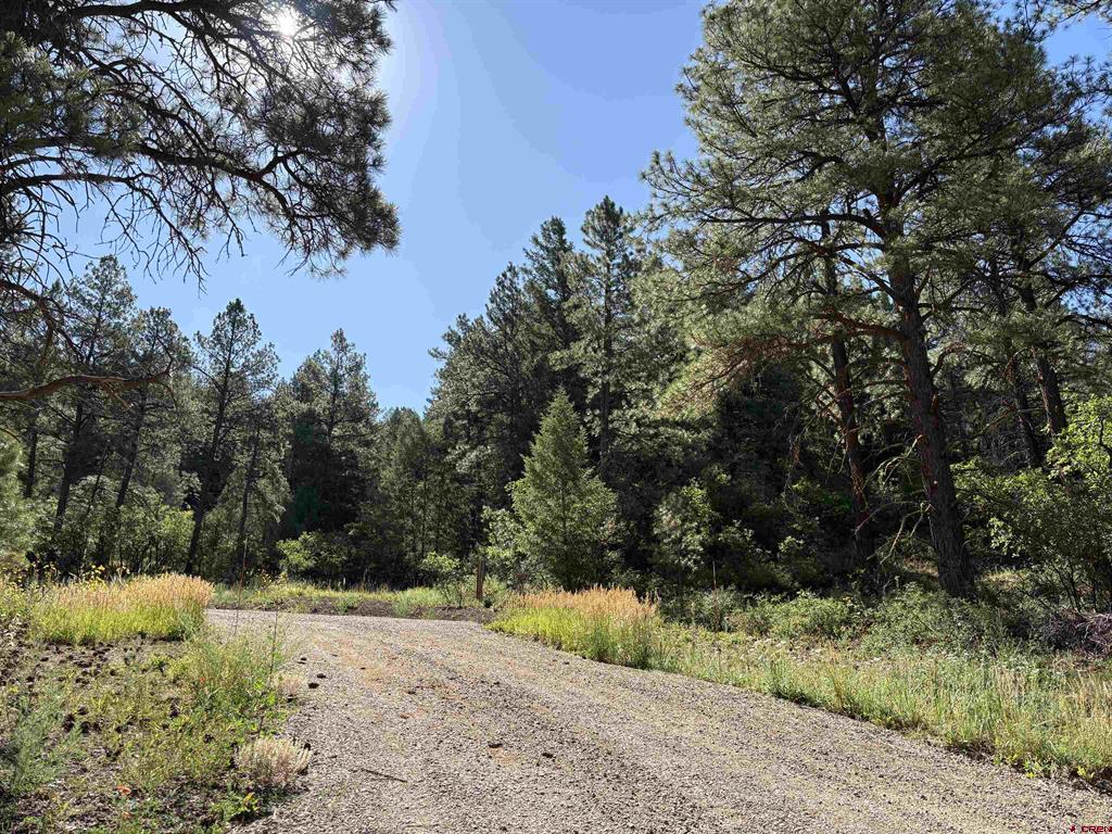 599 Pineview Road Pagosa Springs CO 81147