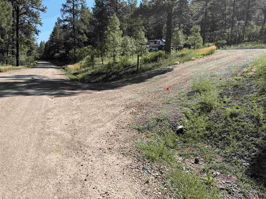 599 Pineview Road Pagosa Springs CO 81147