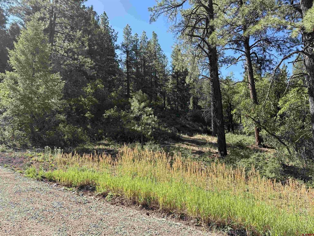 599 Pineview Road Pagosa Springs CO 81147