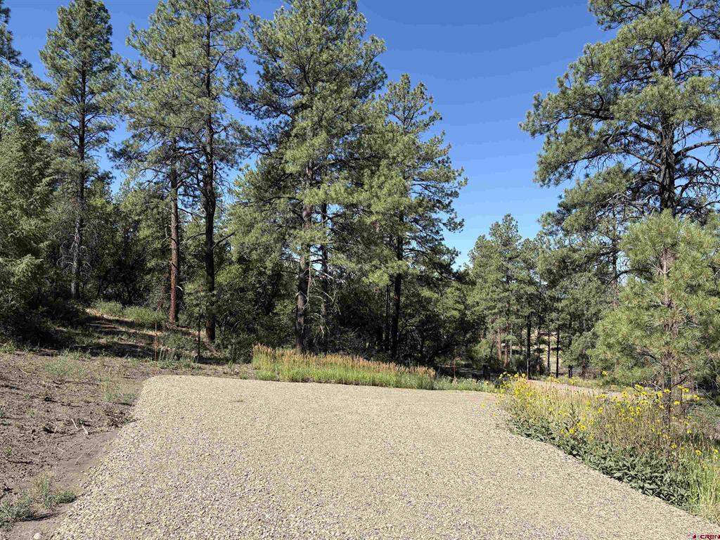 599 Pineview Road Pagosa Springs CO 81147