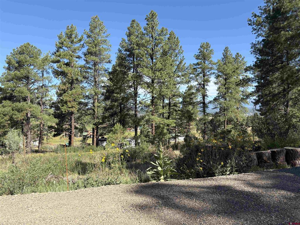599 Pineview Road Pagosa Springs CO 81147