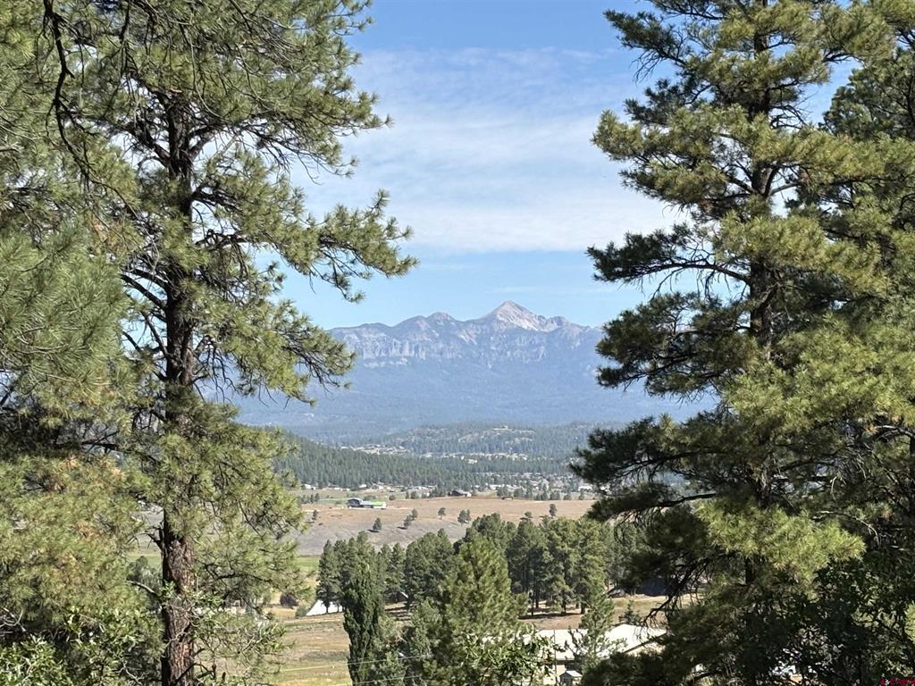 599 Pineview Road Pagosa Springs CO 81147