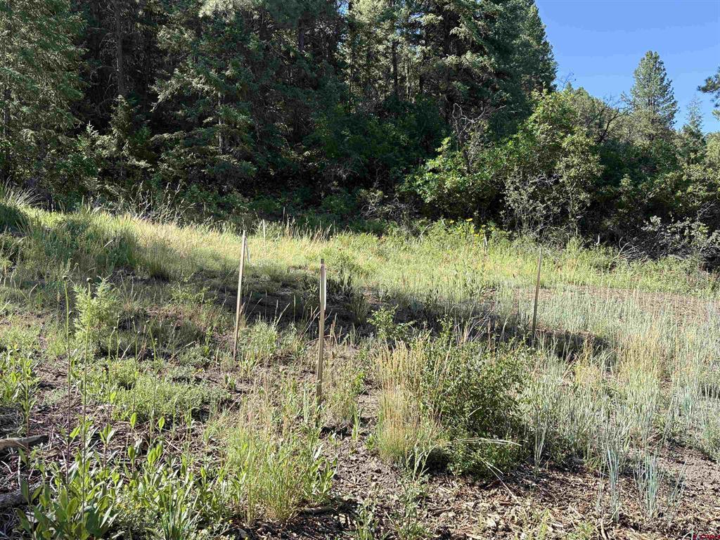 599 Pineview Road Pagosa Springs CO 81147