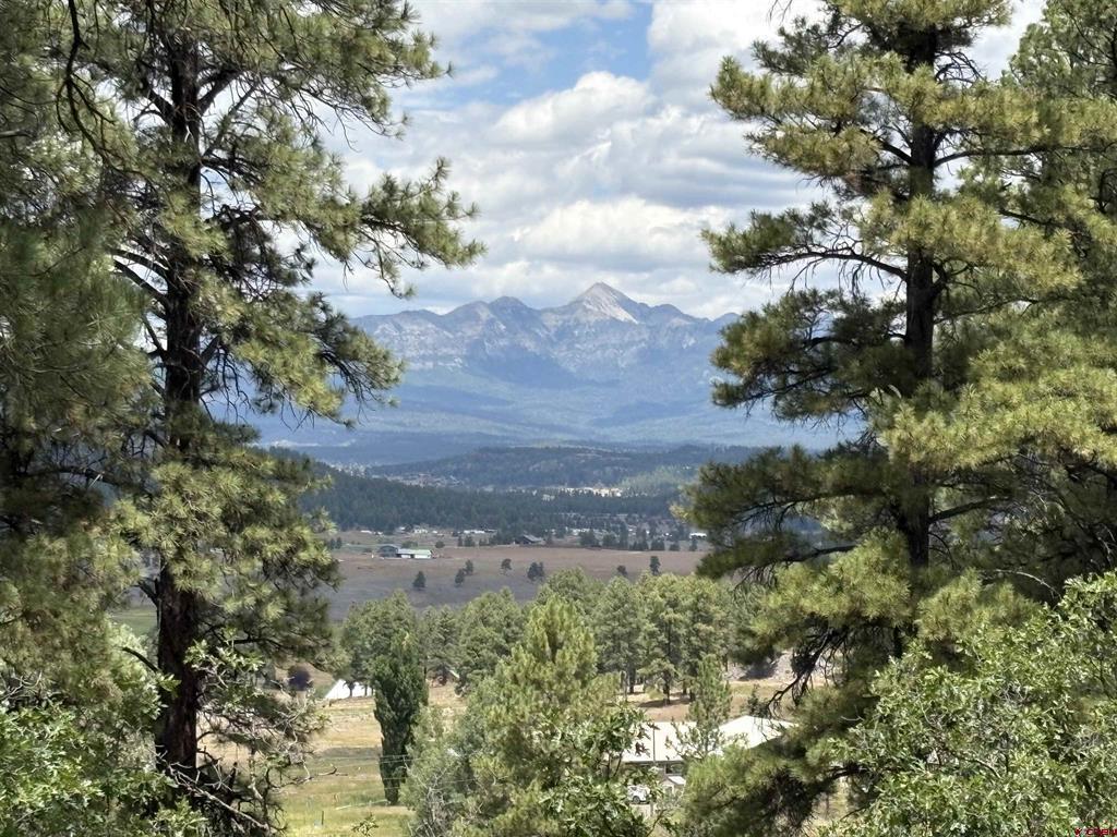 599 Pineview Road Pagosa Springs CO 81147