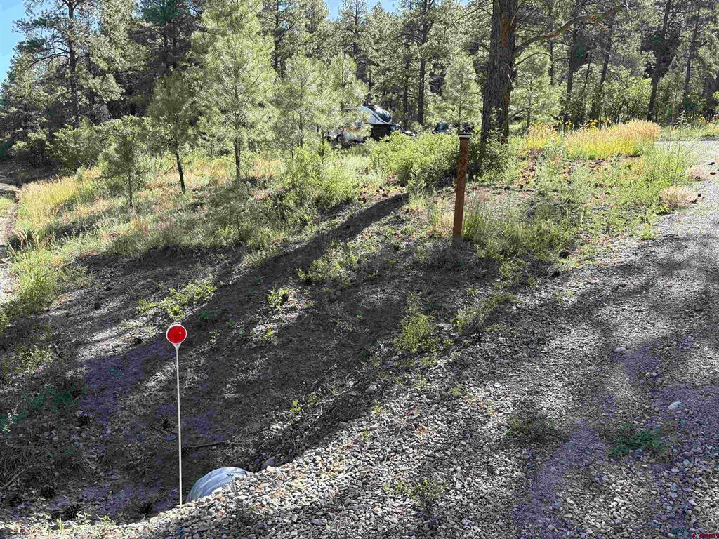 599 Pineview Road Pagosa Springs CO 81147