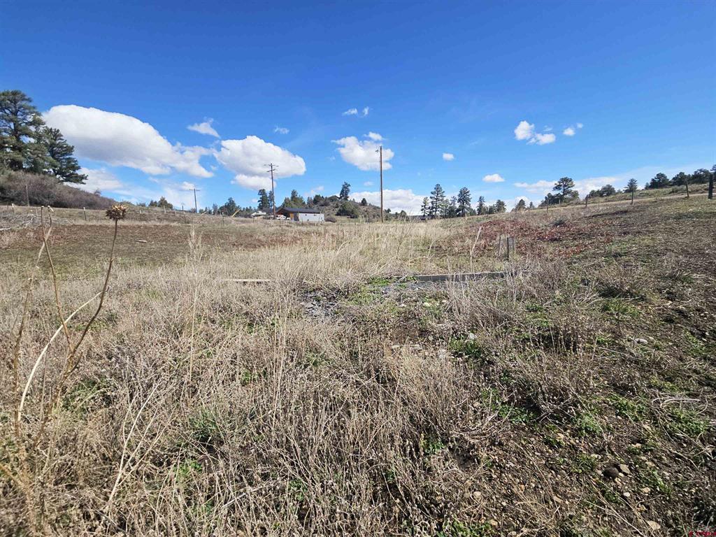 736 Hurt Drive Pagosa Springs CO 81147