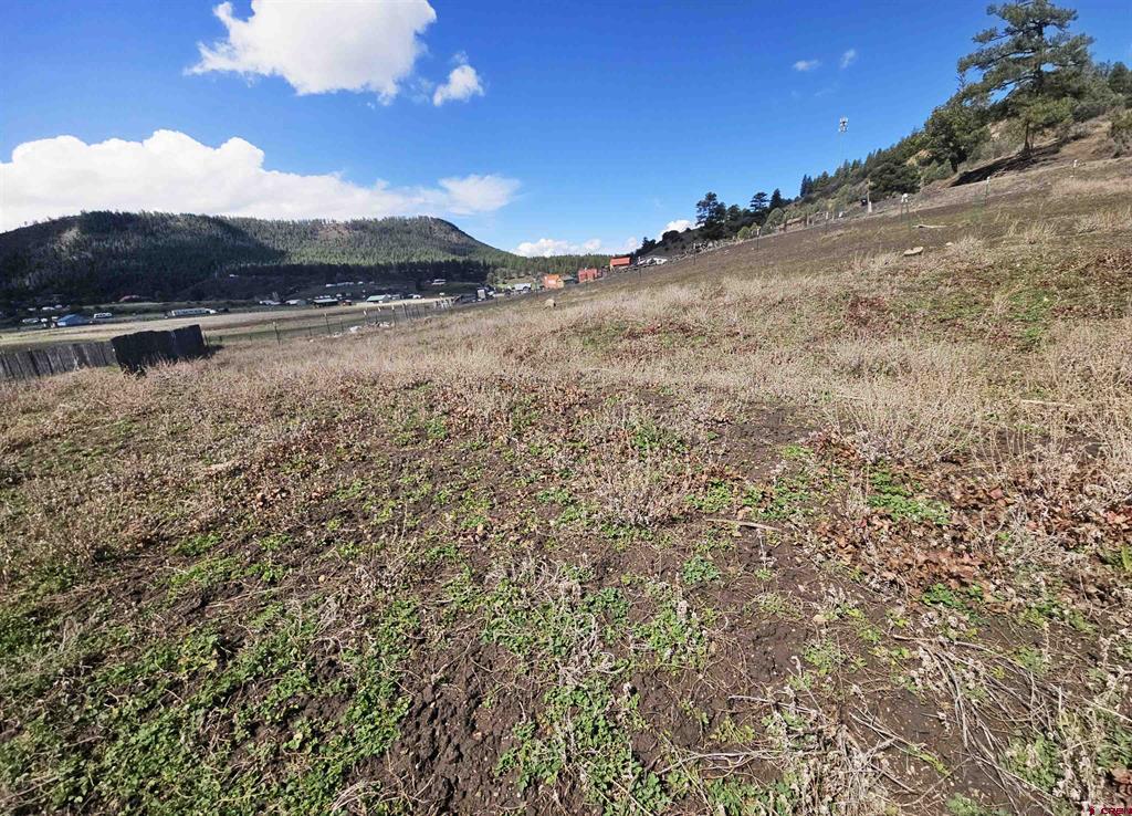 736 Hurt Drive Pagosa Springs CO 81147