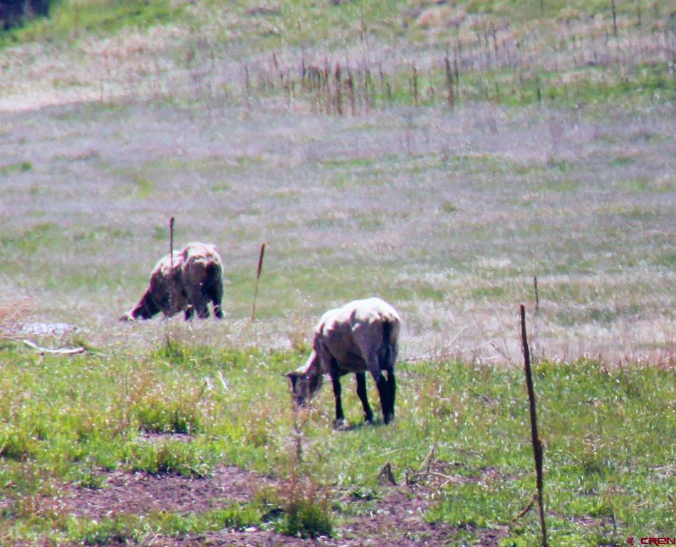 736 Hurt Drive Pagosa Springs CO 81147