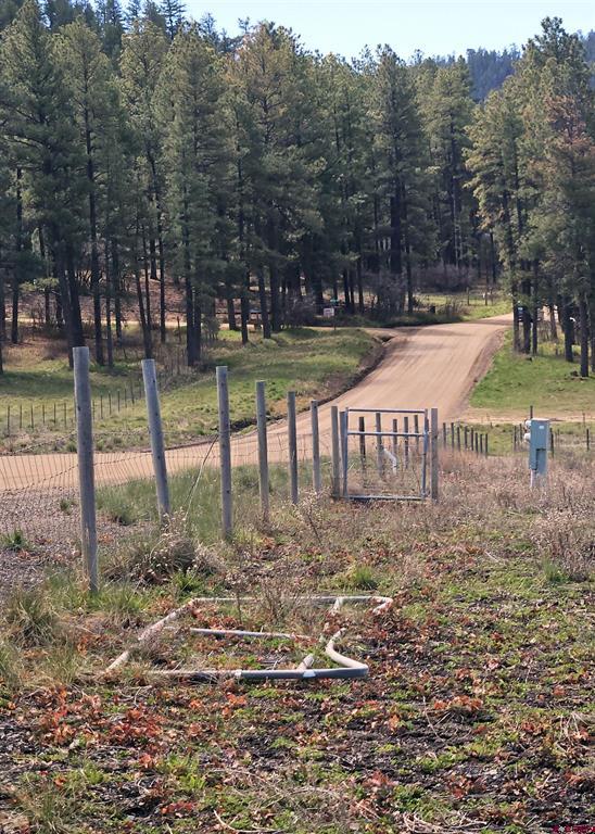 736 Hurt Drive Pagosa Springs CO 81147