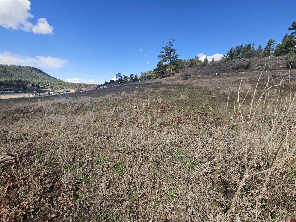 736 Hurt Drive Pagosa Springs CO 81147