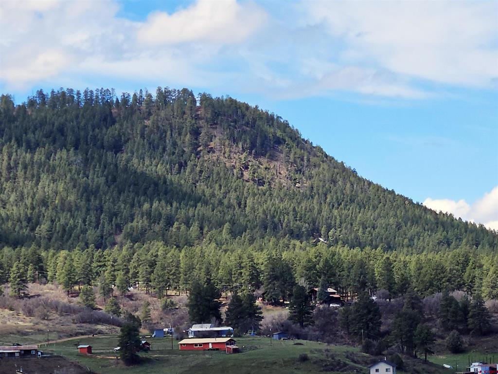736 Hurt Drive Pagosa Springs CO 81147