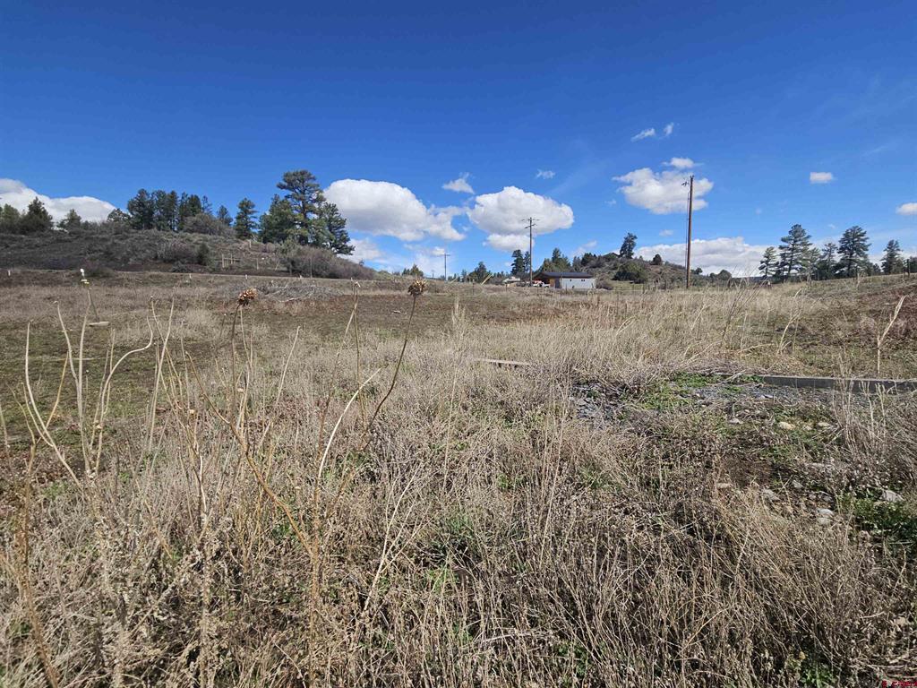 736 Hurt Drive Pagosa Springs CO 81147