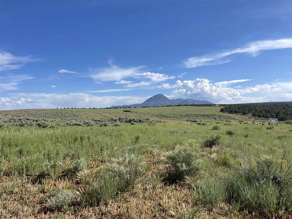 13076 (TBD) Road 17.9 Cortez CO 81321