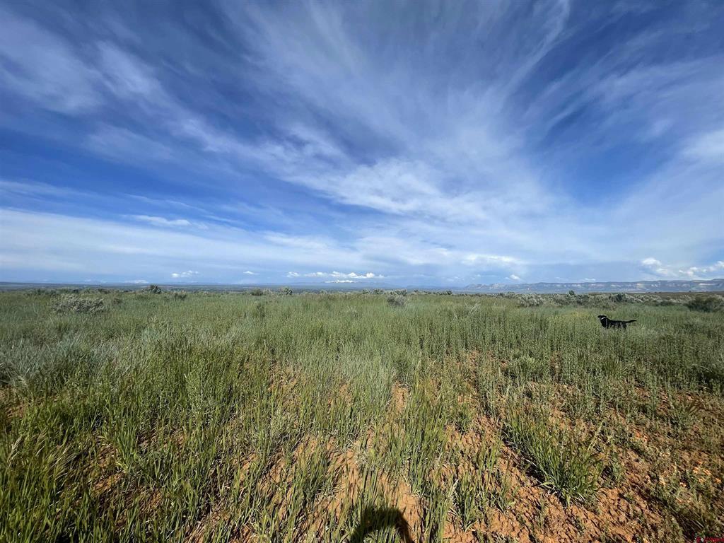 13076 (TBD) Road 17.9 Cortez CO 81321
