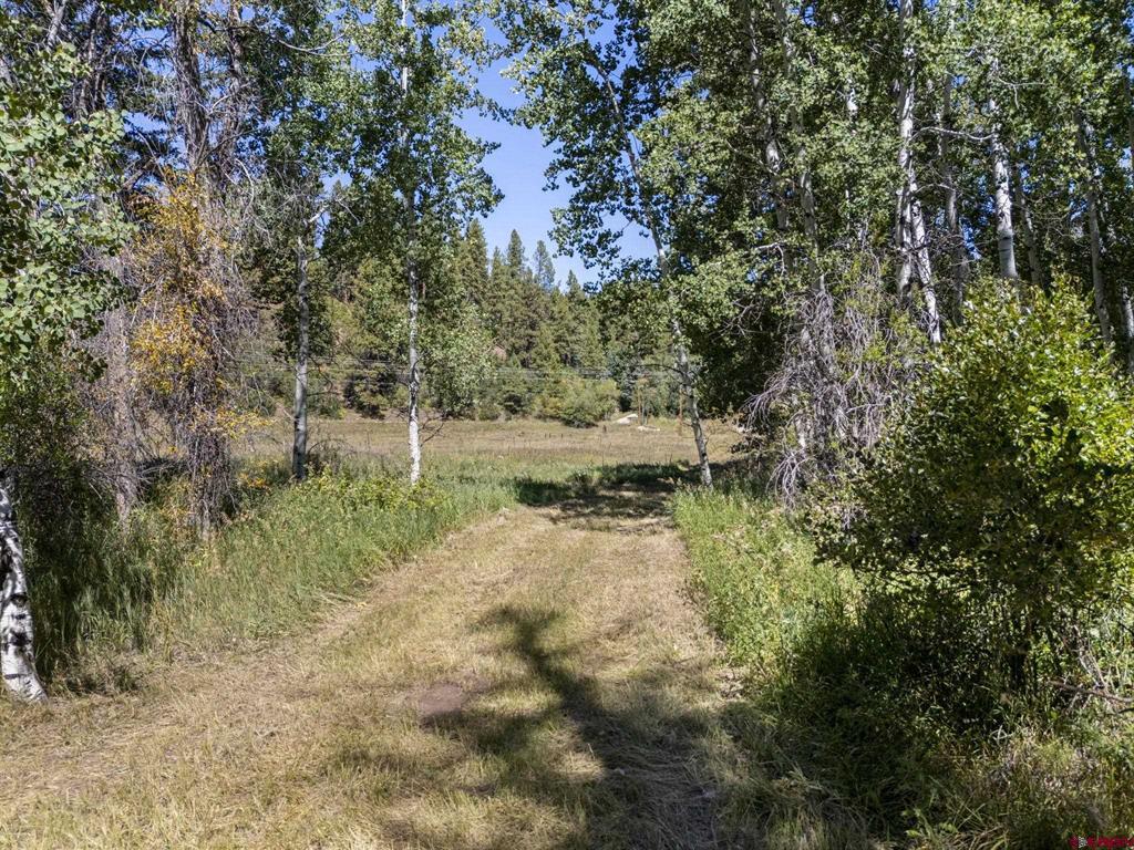 13484 County Road 240 Durango CO 81301