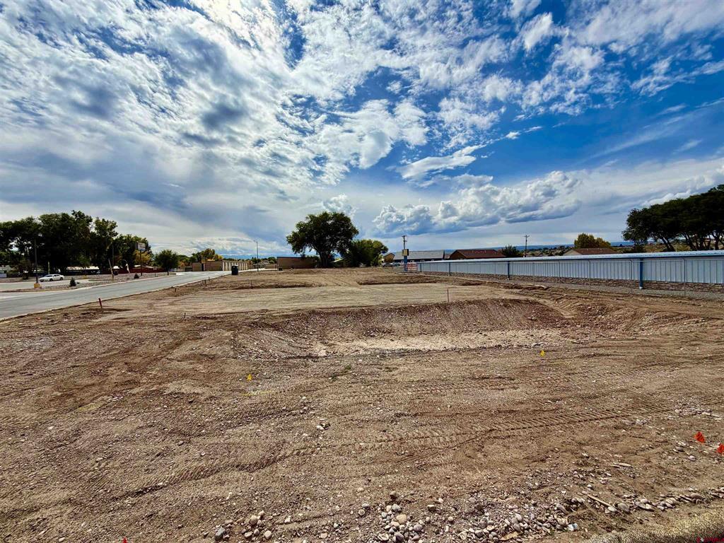 11 Bristlecone Drive Montrose CO 81401