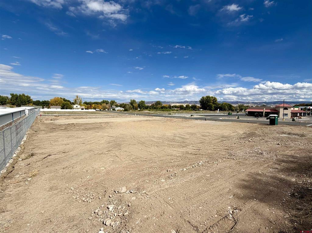 11 Bristlecone Drive Montrose CO 81401