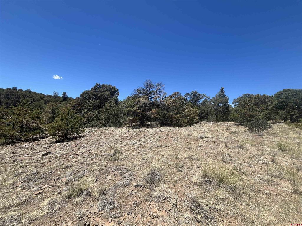 503 Kenosha Road South Fork CO 81154