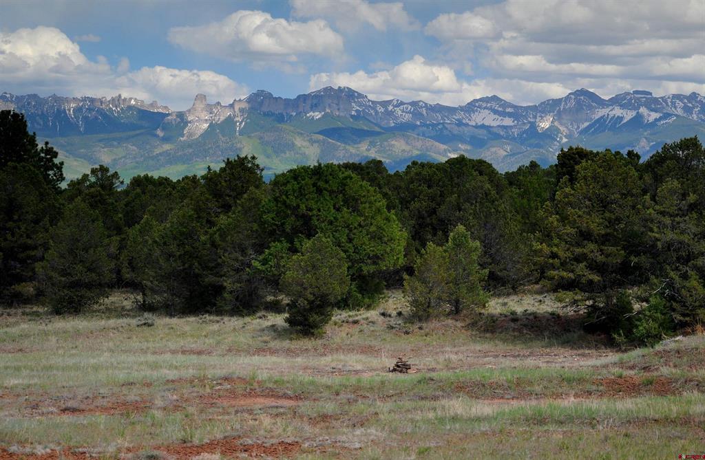 Tbd Ponderosa Drive Ridgway CO 81432