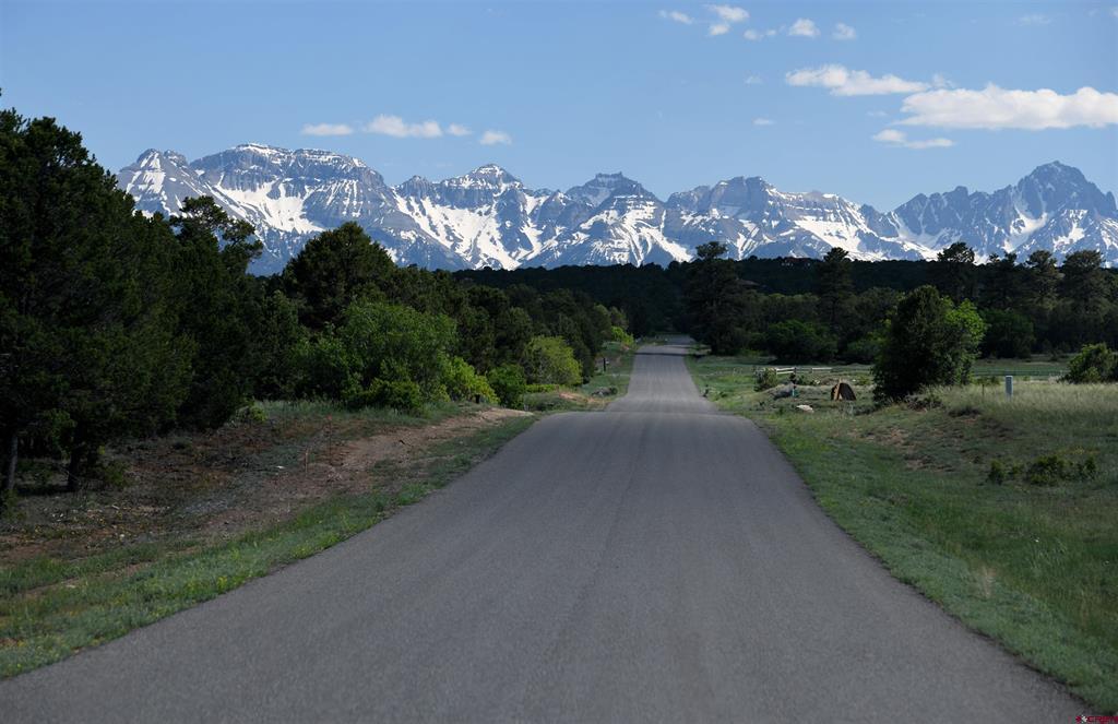 Tbd Ponderosa Drive Ridgway CO 81432