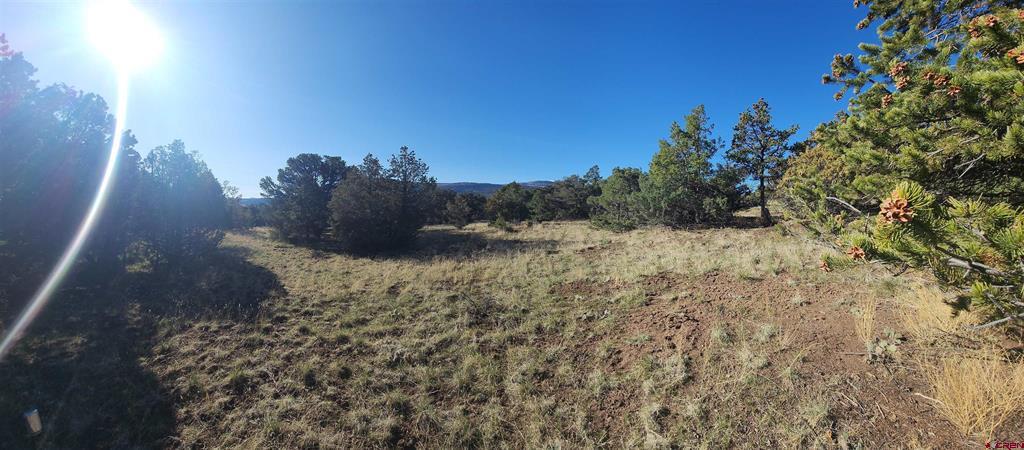 503 Kenosha Road South Fork CO 81154