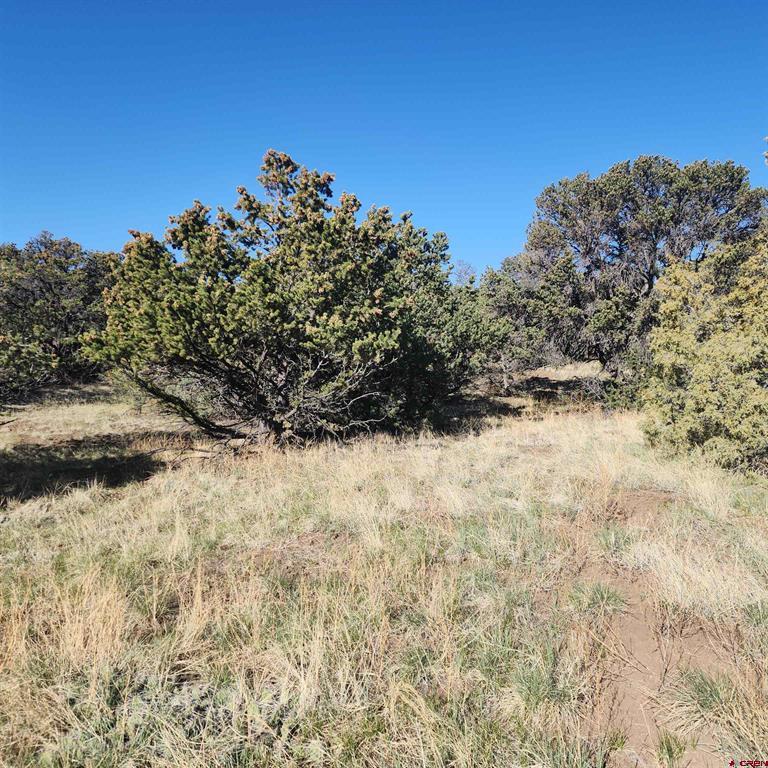 503 Kenosha Road South Fork CO 81154