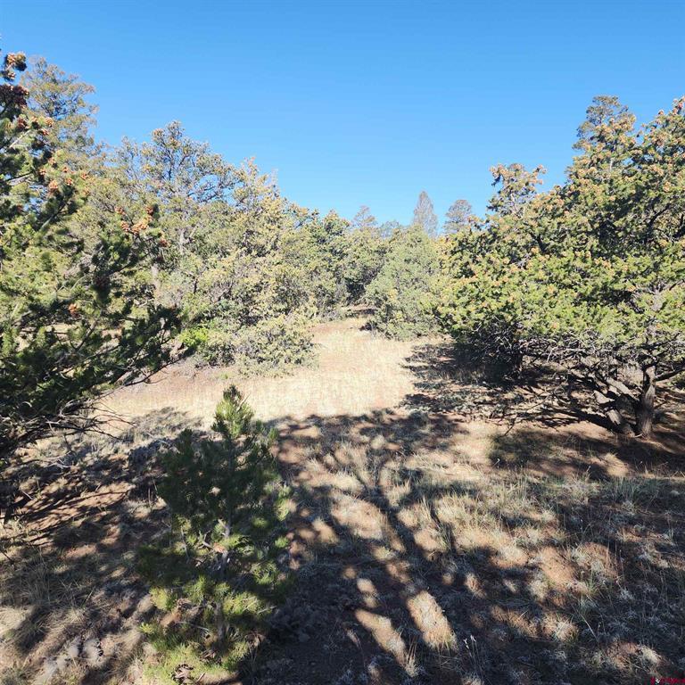 503 Kenosha Road South Fork CO 81154
