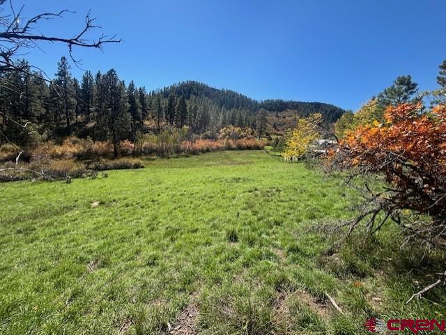 188 Little Bear Drive Bayfield CO 81122