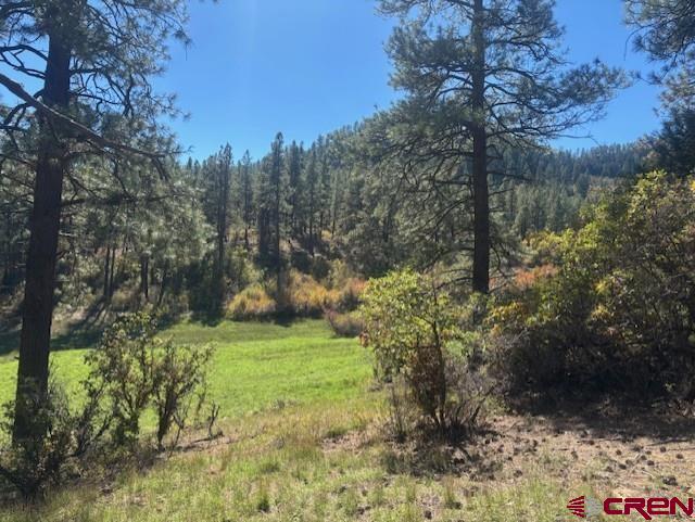 188 Little Bear Drive Bayfield CO 81122