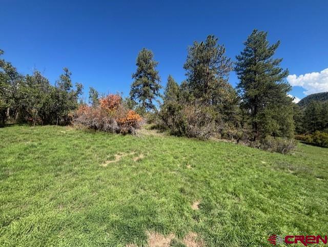 188 Little Bear Drive Bayfield CO 81122