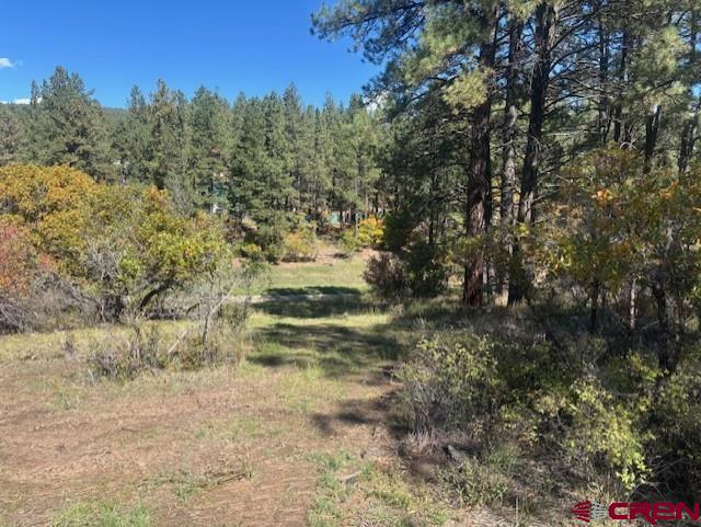 188 Little Bear Drive Bayfield CO 81122