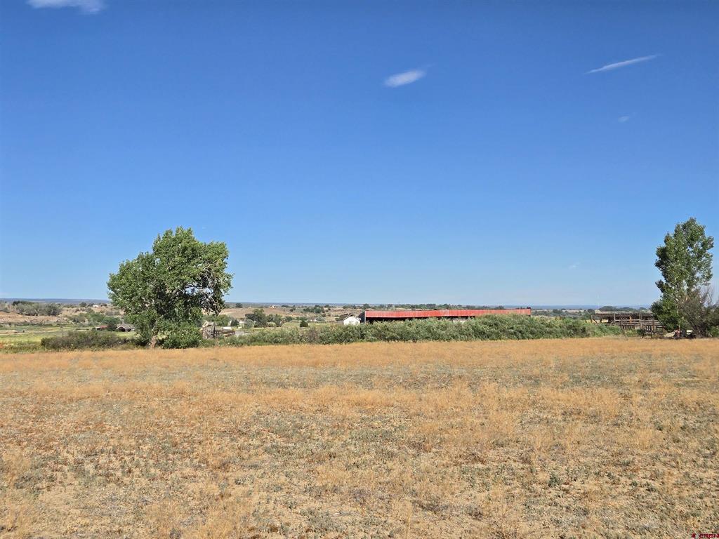 Tbd Rose Road Montrose CO 81403