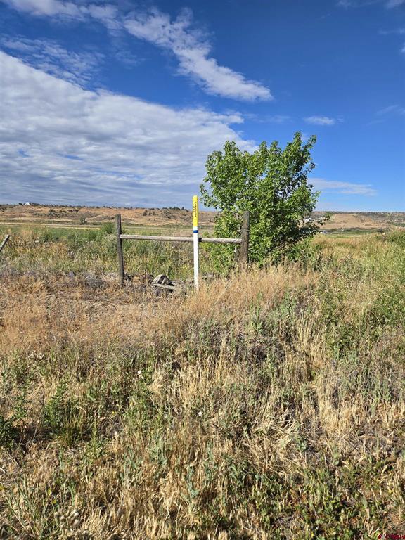 Tbd Rose Road Montrose CO 81403